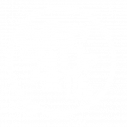 step-up-logo-white